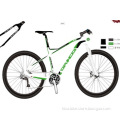 DRACO carbon bike bicycle 29er 30 speed/ UD green finish for sale 11kg
